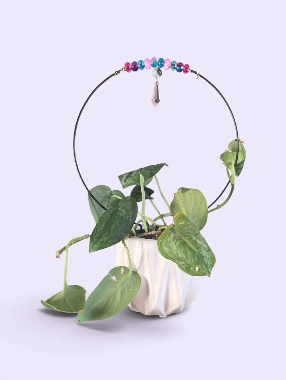 Handmade Plant Trellis.